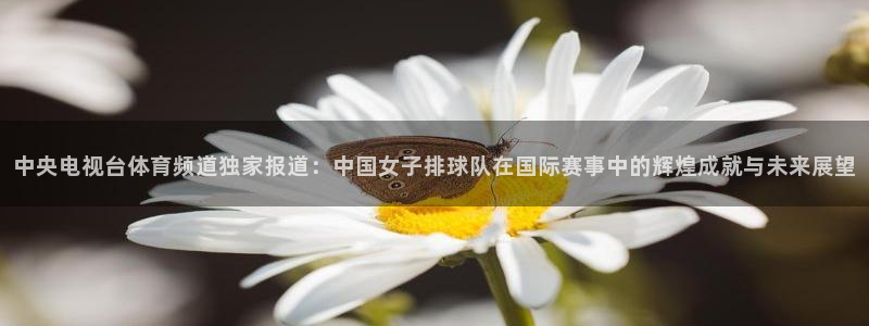 中央电视台体育频道独家报道：中国女子排球队在国际赛事中的辉煌成就与未来展望