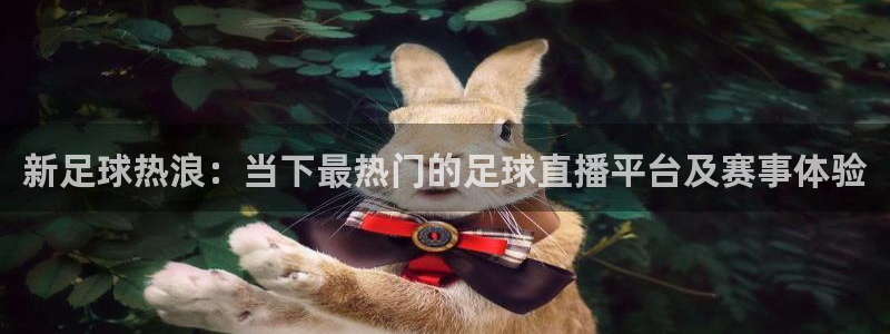 新足球热浪：当下最热门的足球直播平台及赛事体验