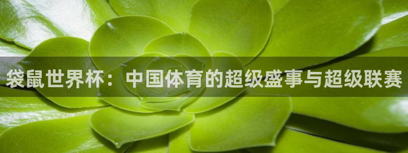 袋鼠世界杯：中国体育的超级盛事与超级联赛