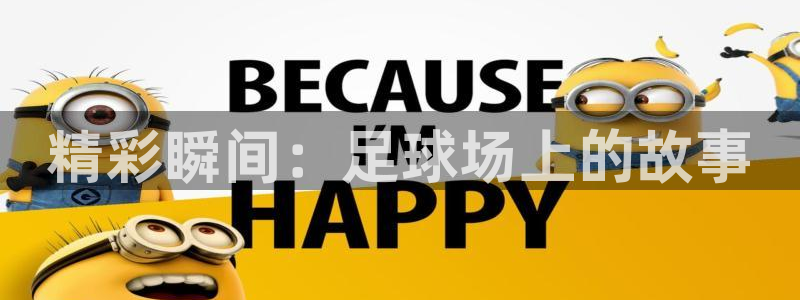 精彩瞬间：足球场上的故事