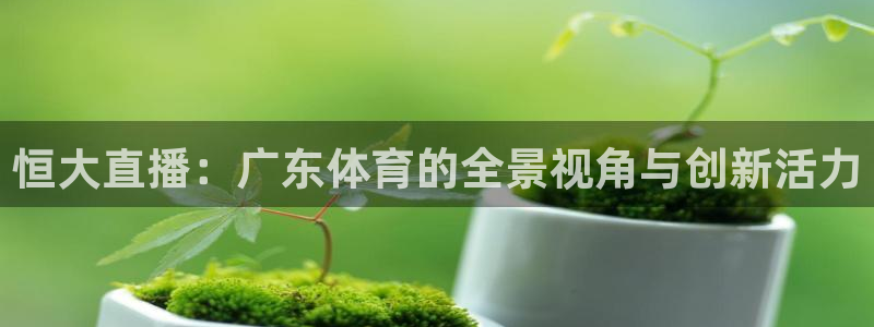 恒大直播：广东体育的全景视角与创新活力