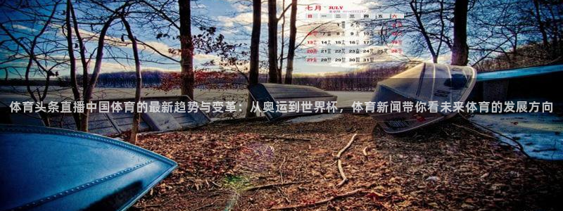 体育头条直播中国体育的最新趋势与变革：从奥运到世界杯，体育新闻带你看未来体育的发展方向