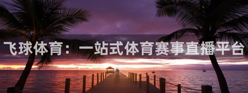 飞球体育：一站式体育赛事直播平台