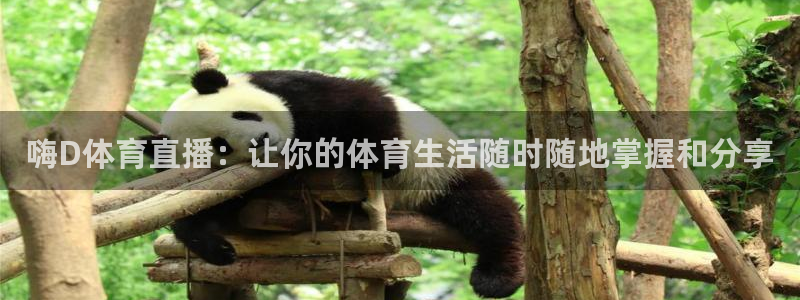 嗨D体育直播：让你的体育生活随时随地掌握和分享