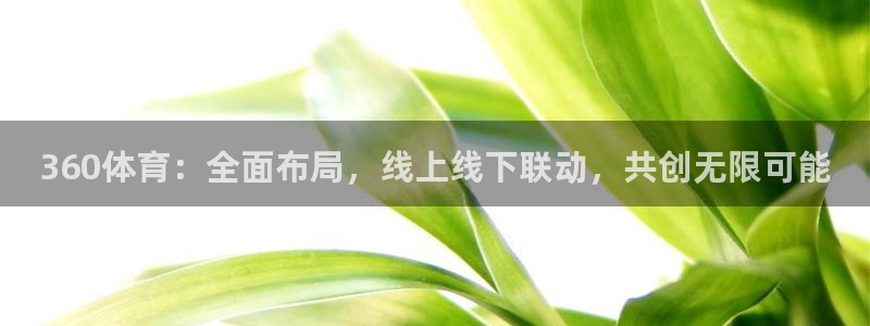 360体育：全面布局，线上线下联动，共创无限可能