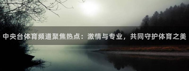 中央台体育频道聚焦热点：激情与专业，共同守护体育之美