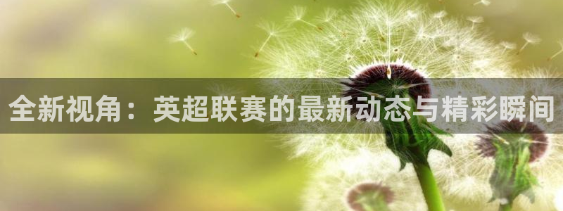 全新视角：英超联赛的最新动态与精彩瞬间