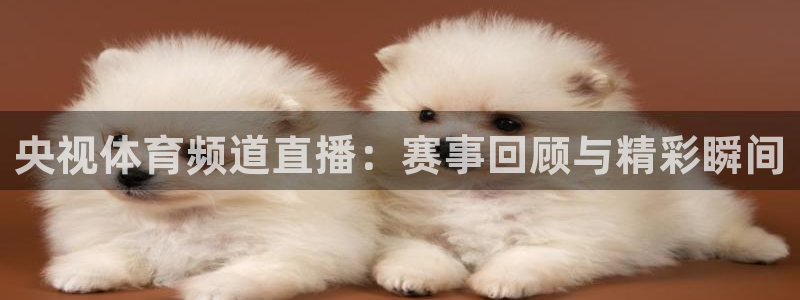 央视体育频道直播：赛事回顾与精彩瞬间