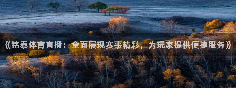 《铭泰体育直播：全面展现赛事精彩，为玩家提供便捷服务》