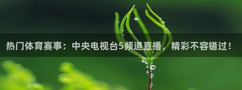 热门体育赛事：中央电视台5频道直播，精彩不容错过！
