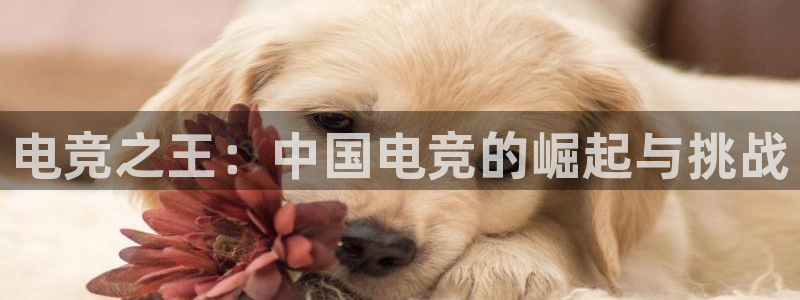 电竞之王：中国电竞的崛起与挑战