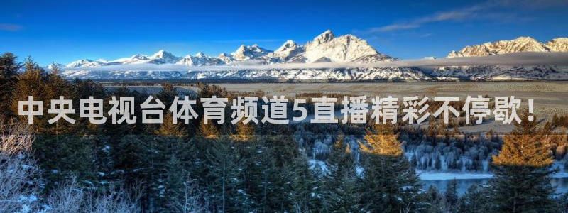 中央电视台体育频道5直播精彩不停歇！