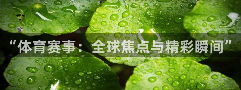 “体育赛事：全球焦点与精彩瞬间”