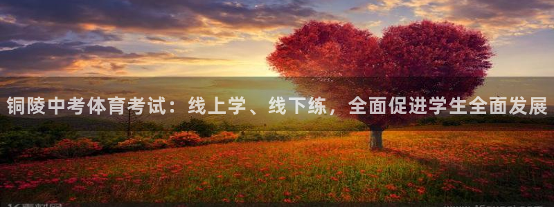 铜陵中考体育考试：线上学、线下练，全面促进学生全面发展