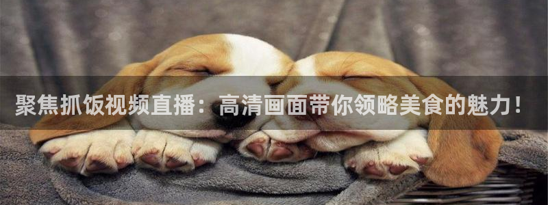 聚焦抓饭视频直播：高清画面带你领略美食的魅力！