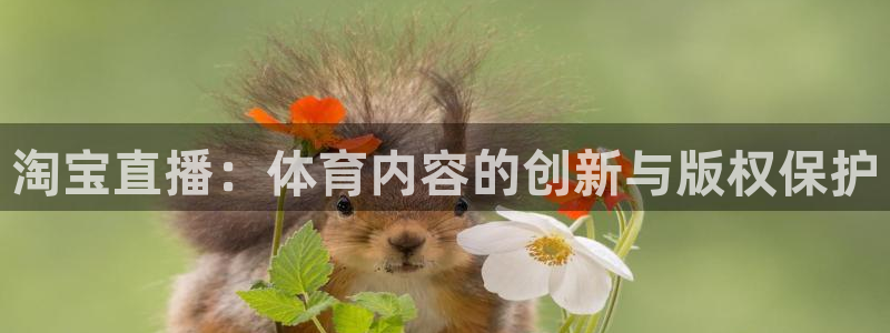 淘宝直播：体育内容的创新与版权保护